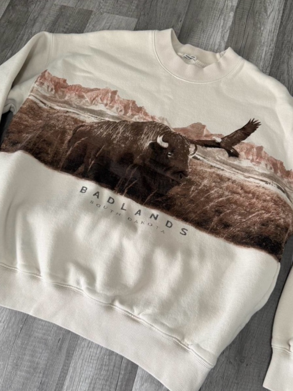 Abercrombie & Fitch Cream Crewneck with Brown Badlands Graphic